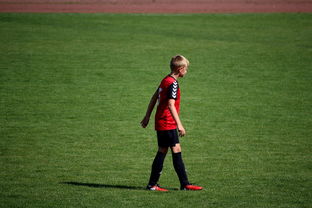 九游sports-中国足球职业俱乐部球员转会市场活跃度提升，中国足球协会球员身份与转会管理规定